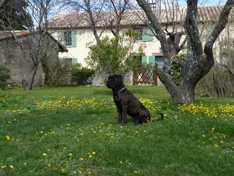 Ella et Enora au Mas Des Amandiers !!